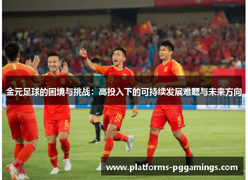 金元足球的困境与挑战：高投入下的可持续发展难题与未来方向