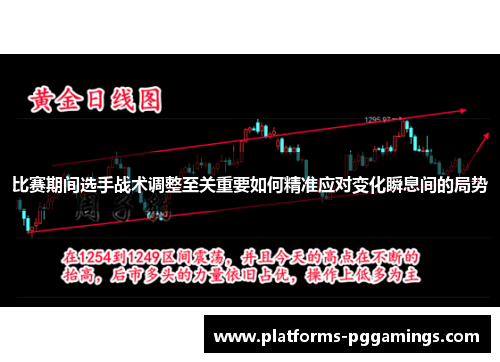 比赛期间选手战术调整至关重要如何精准应对变化瞬息间的局势